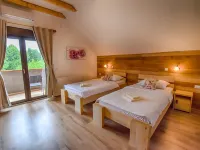 Villa Stone Hotels in Rakovica