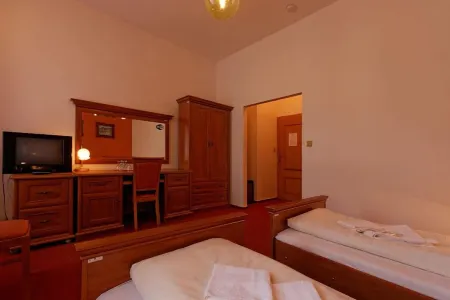 Hotel Maria Отели в г. Петровице у Карвини