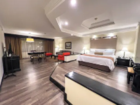 蒂卡爾富利大酒店 危地馬拉市酒店