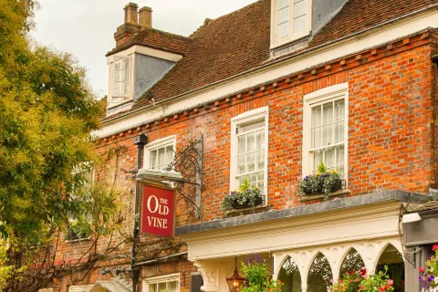 The Old Vine