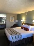 Super 8 by Wyndham Florence or Hotels near Shangri-La Corporation