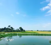 Lotus House