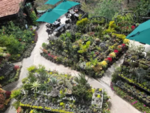 エラ フラワーガーデン リゾート エッラのホテル