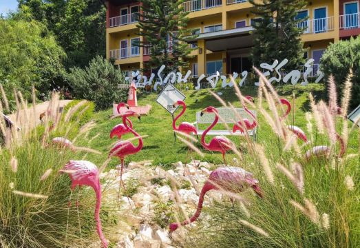 5. 반 수안 로자나..