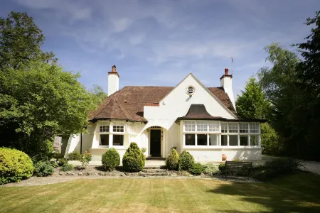 Daisybank Cottage Boutique Bed and Breakfast Отели в г. Брокенхерст