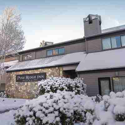 Pine Ridge Inn Hotel Exterior