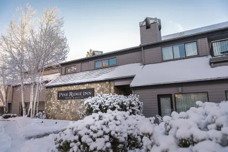 Pine Ridge Inn Отели рядом с достопримечательностью «Парк штата Тамало»