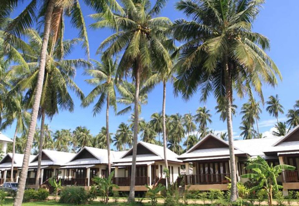 팡카 파라다이스 리조트 객실