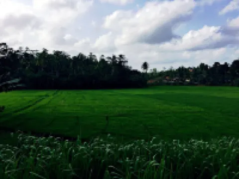 Thaaru Guest Hotels in Mirissa