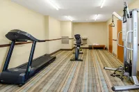 Quality Inn & Suites I-81 Exit 7 - Gym