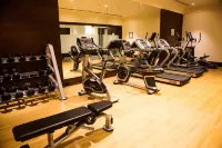 Sheraton Grand Palace Indore - gimnasio