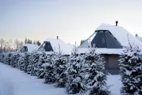 Reindeer Manor Levi