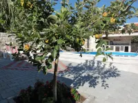 Villa Riva