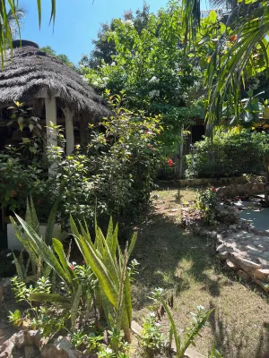 非洲珍寶海灘度假村 - 沙灘
