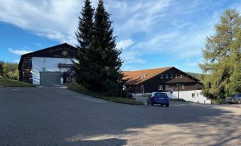 Cozy ans spacious Apartment with Scenic Views