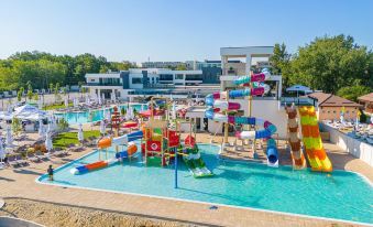 Alma Health & Spa Retreat