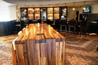 Ann Arbor Marriott Ypsilanti at Eagle Crest - bar