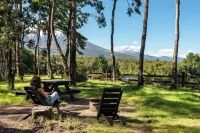 Carintia Cabins - Mountain view