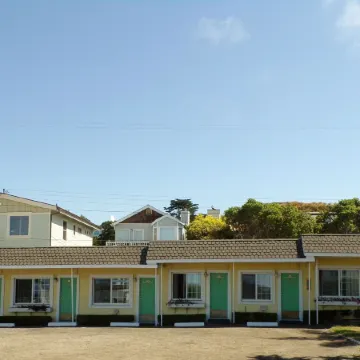 Cypress Tree Motel