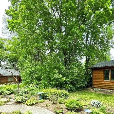 MN cabin escape. 2 cabins on exclusive DL shore