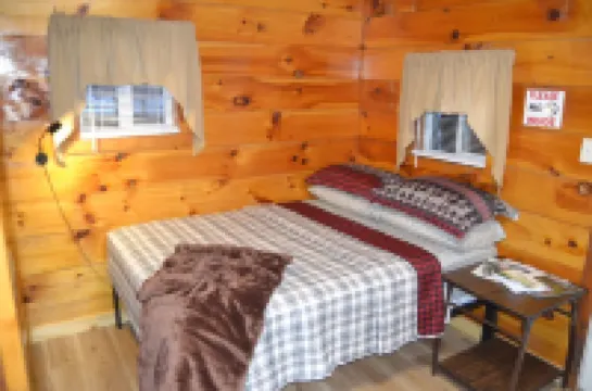Cozy & efficient cabin w/ river access. Pet Friendly!