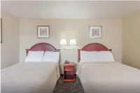 트라이 시티 인