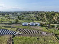 Nira Meraki Sandhya Hotels in Cangkringan