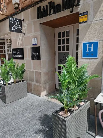 Hotel Acebo Plaza Mayor Отели в г. Кастьельо-де-Хака