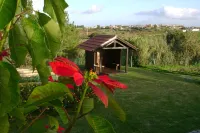 Family House, halfway Lisbon/Fatima, lovely garden, private pool  otelleri