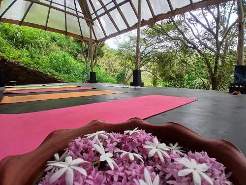 Ella Retreat - Cho phép mang theo thú cưng