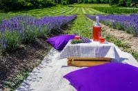 The Carriage House @ Mingle Hill Hotels in West Lincoln