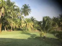 Newly renovated house 1/4 Mile from the Caribean Sea on 10 acres of tropical Hotels in Corozal