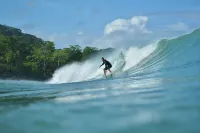 Casa Cucula - is totally awesome!  Bring the whole family, walk to the surf. Hotels in Pavones