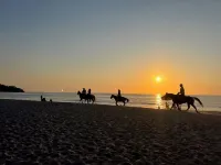 Charming Bambu Room in Casa Botanica