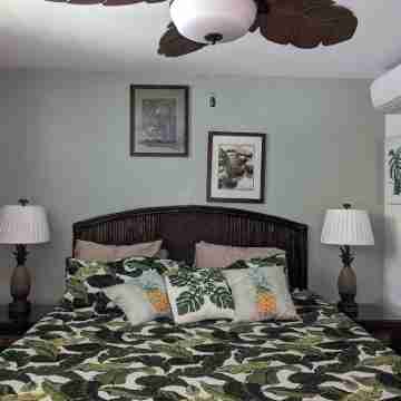 Free AC & Parking! Exceptional Condo w/Peek-a-Boo OV - Res. Guaranteed into 2027 Rooms