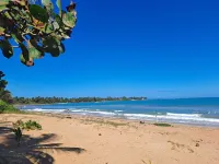 Crab Shack Condo at the Beach! Newly renovated! Beachfront with pool!