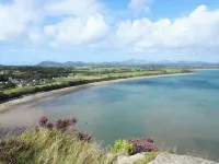 Rhedyn - Beach