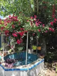 HANCI PANSİYON