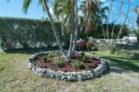 Siesta Motel Hotel di Key Colony Beach