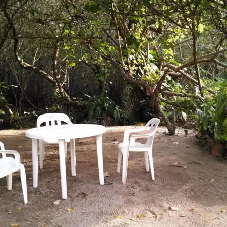 Manglar Pacific