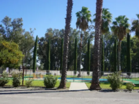 Blue Gum Motel Hotels in Willows