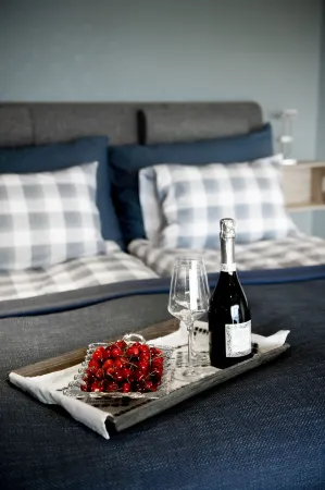 Moens Motell Отели в г. Санне