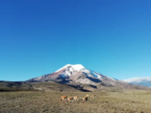 ホテル ラ カサ アマリージャ シティ バーニョスのホテル