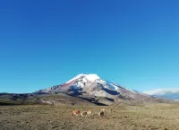 Hostal la Casa Amarilla City