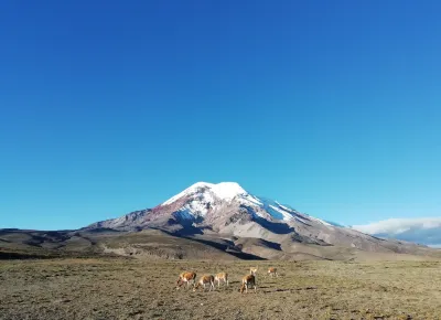 Hostal la Casa Amarilla City Hotels in 