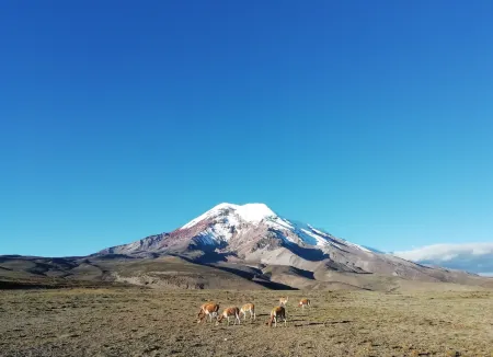 Hostal la Casa Amarilla City