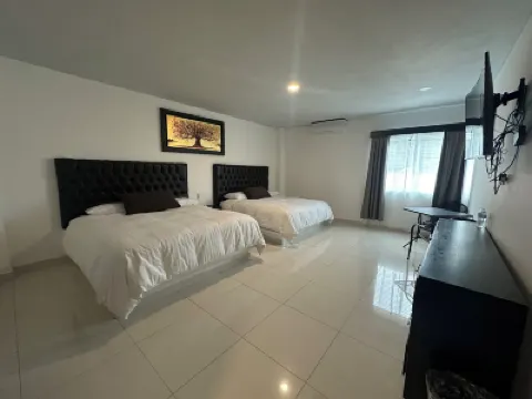 Hotel Minerva Hotels in 