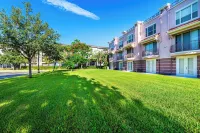 Vista Cay Modern