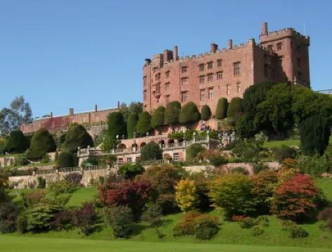 The Forest Country House B&B Hotels in 