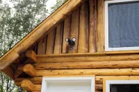 Cute Cabin Near Hatcher Pass